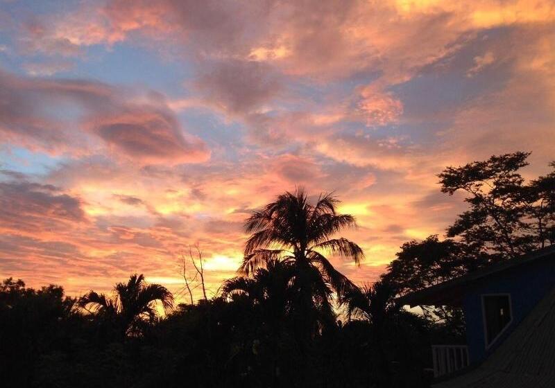 هتل Tamarindo Village