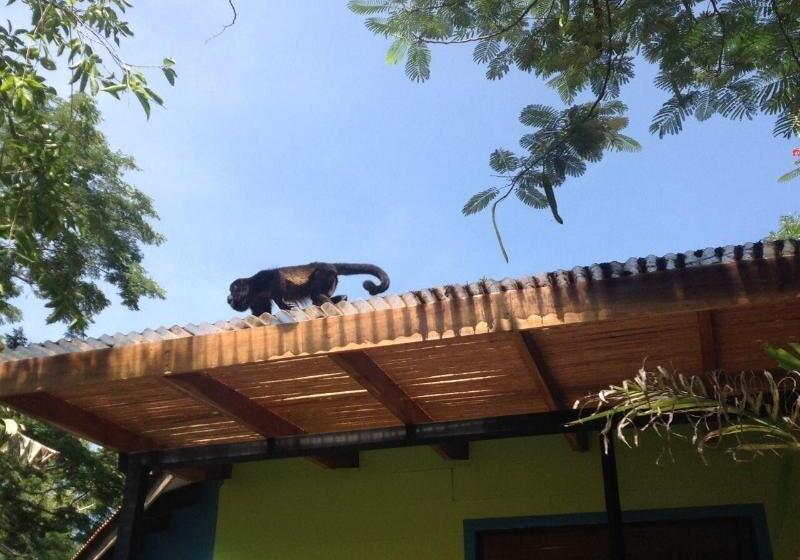 هتل Tamarindo Village