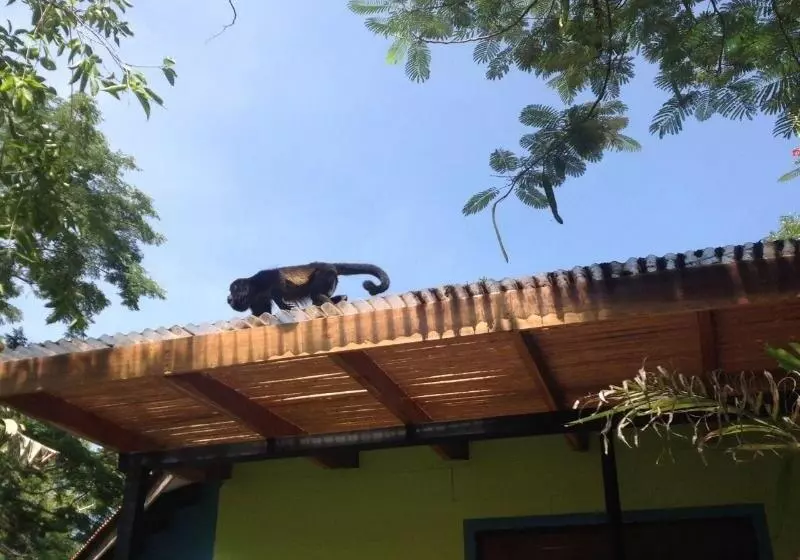 هتل Tamarindo Village