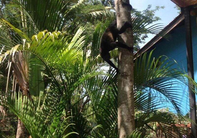 هتل Tamarindo Village
