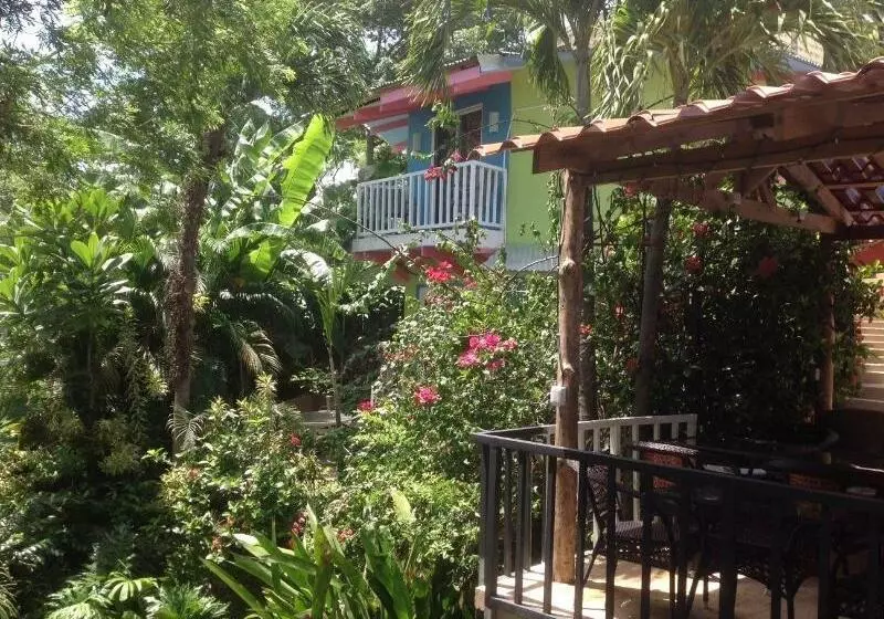 هتل Tamarindo Village