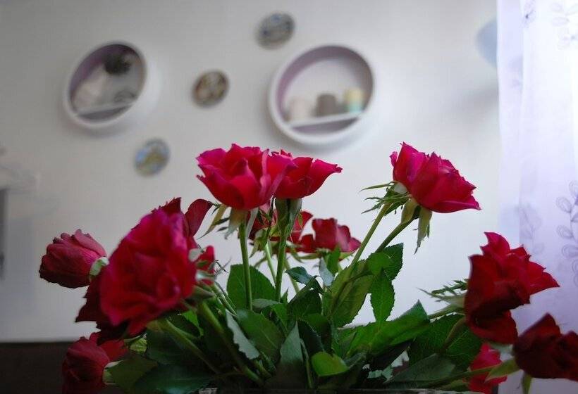 בית מלון כפרי Privat Voyage