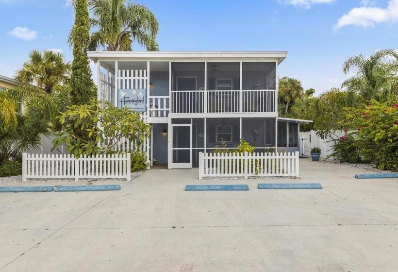 酒店 The Hummingbird