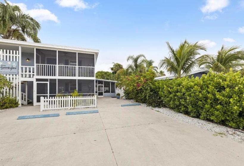 酒店 The Hummingbird