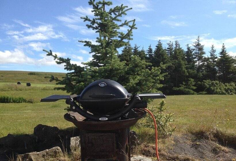 هتل Bessastadir Guesthouse