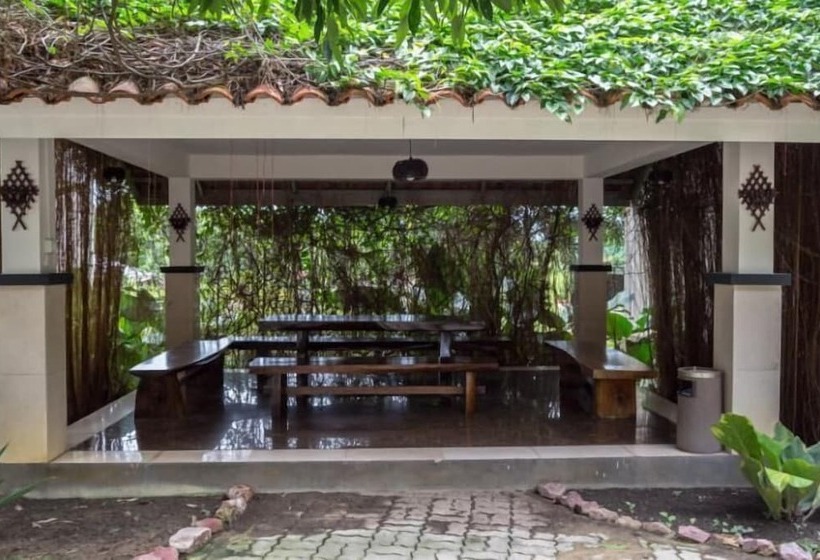 בית מלון כפרי Nipah Island Resort