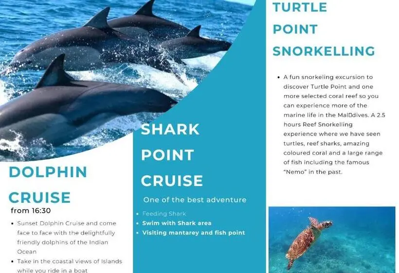 هتل Dhiffushi Tourist