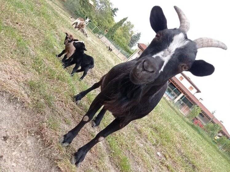 هتل Agriturismo Corte Maccini