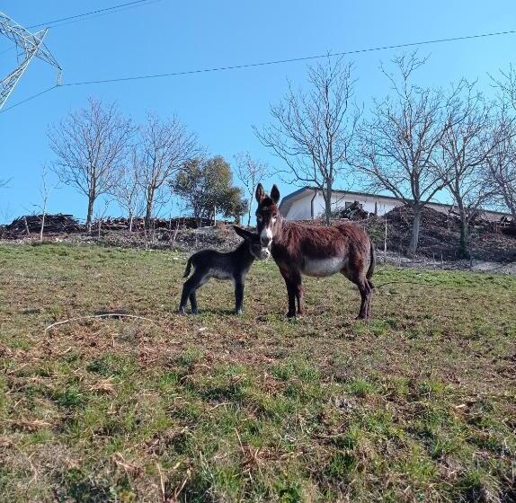 هتل Agriturismo Corte Maccini