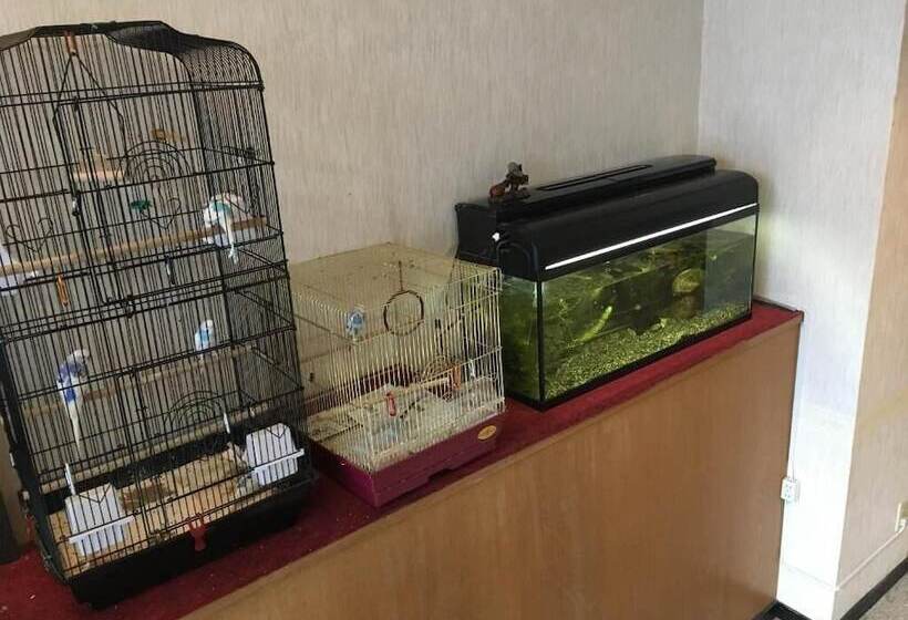 Okinawa Hotel Continental