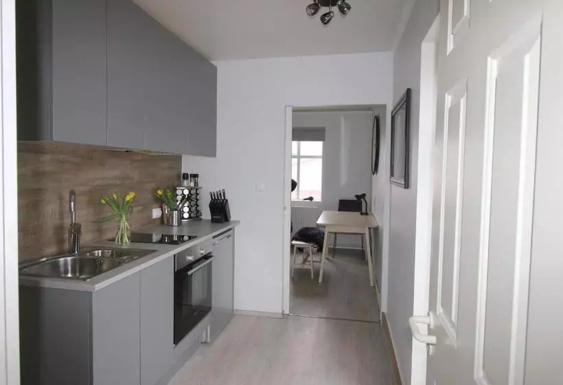 هتل Steinaskjol Apartments