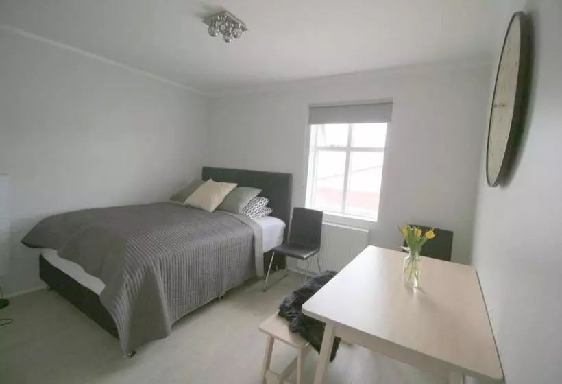 هتل Steinaskjol Apartments