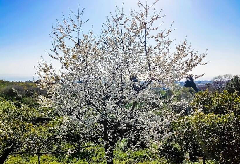 בית מלון כפרי Villa Feluchia Tra Il Mare E Il Vulcano