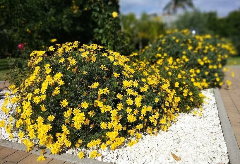 בית מלון כפרי Villa Feluchia Tra Il Mare E Il Vulcano