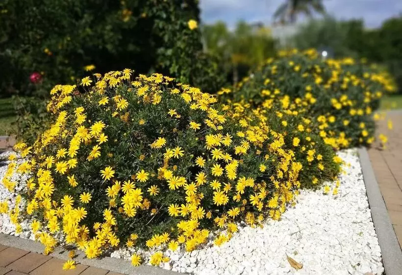 Hotel Villa Feluchia Tra Il Mare E Il Vulcano