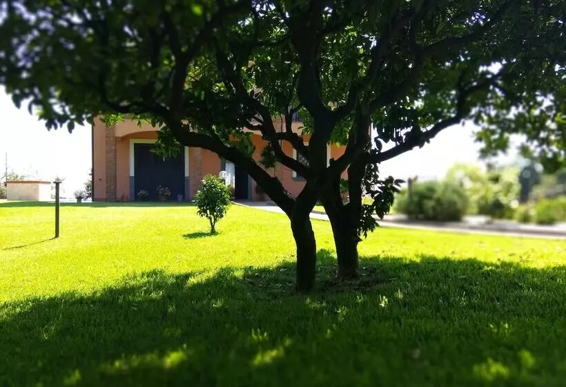 Hotel Villa Feluchia Tra Il Mare E Il Vulcano