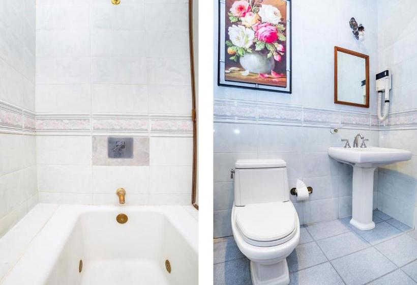 Hotel Collection O  Boutique Paulina