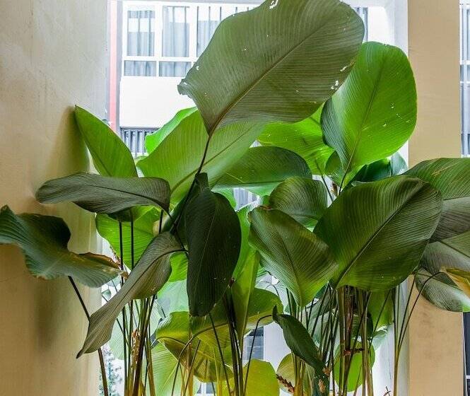 Bunk & Bilik Hotel Sri Petaling