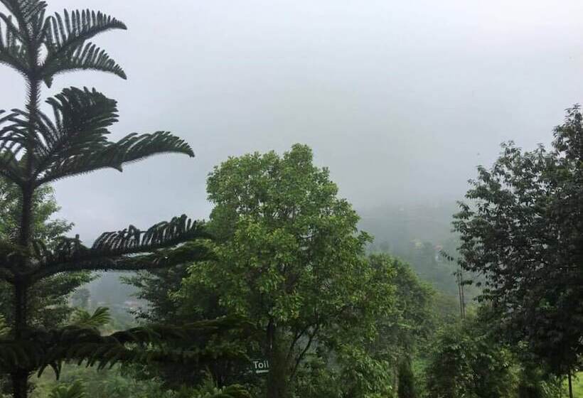 هتل Green Hill Rest Camp