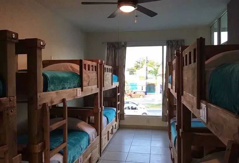 ホテル Hostal Bucerias