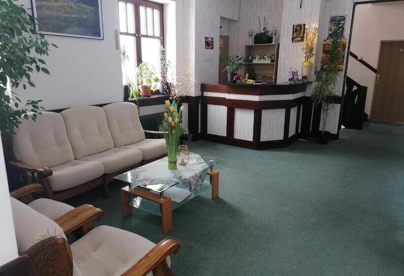 Отель Rezydencja Na Skrócie