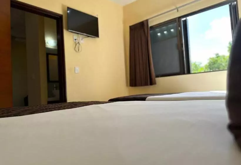 ホテル Selina Playa Del Carmen   Hostel