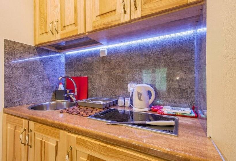 בית מלון כפרי Willa Trebunia