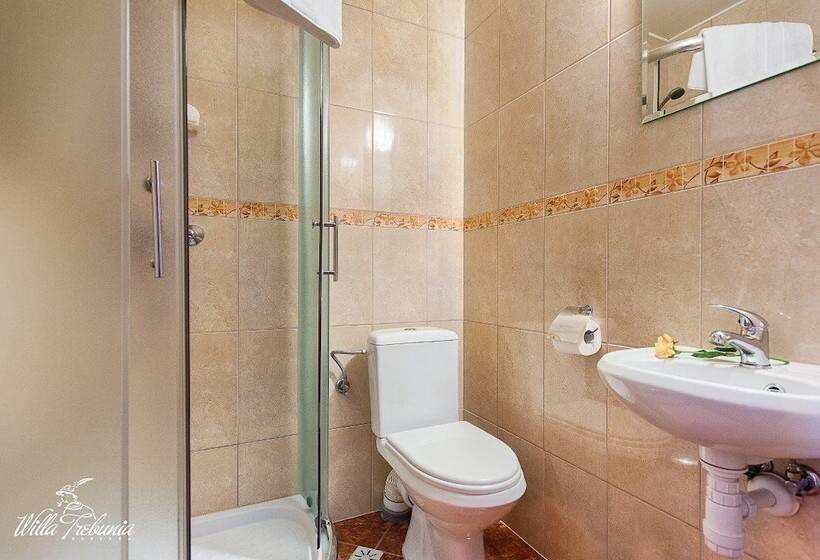 בית מלון כפרי Willa Trebunia