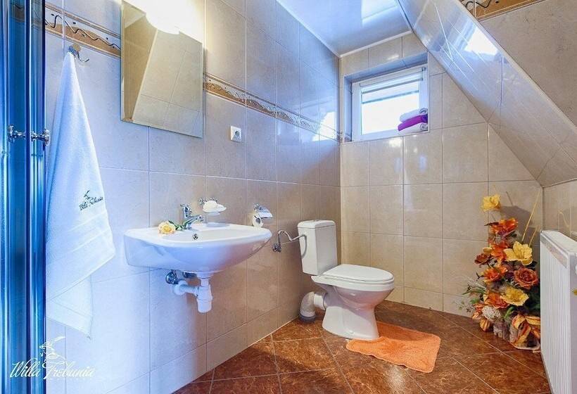 בית מלון כפרי Willa Trebunia