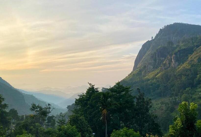 호텔 Country Homes