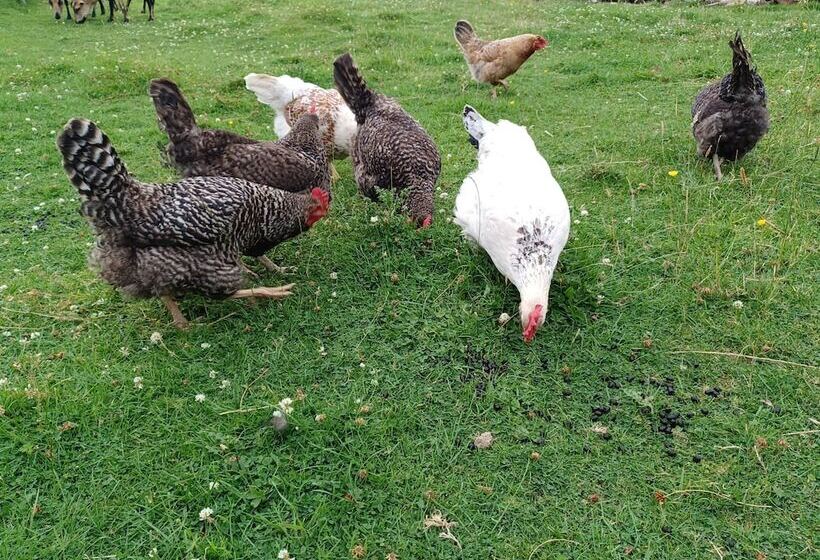 בית מלון כפרי Green View Lodges