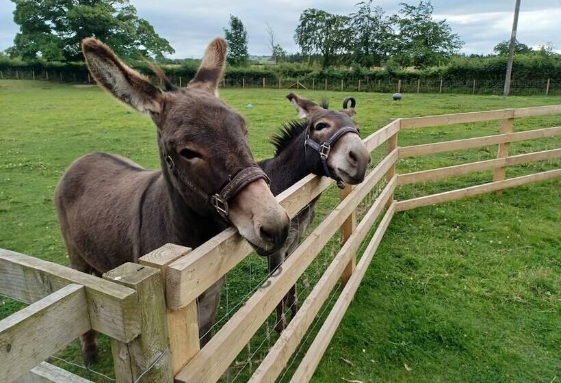 בית מלון כפרי Green View Lodges