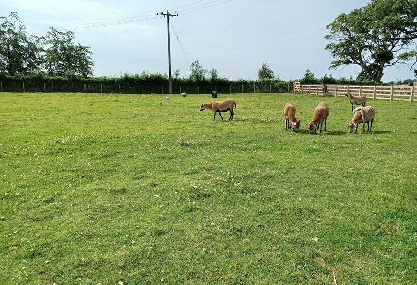 בית מלון כפרי Green View Lodges