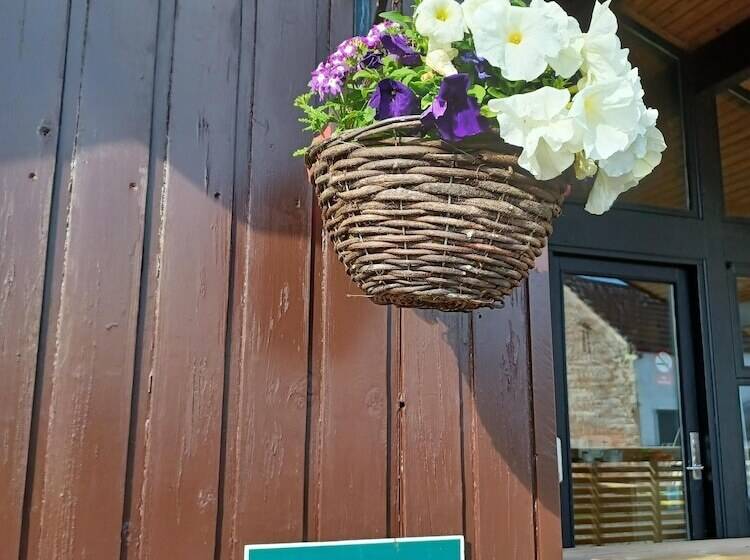 בית מלון כפרי Green View Lodges