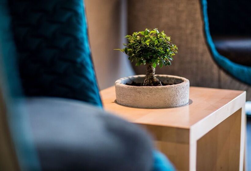 Hotel Mava Apartamente