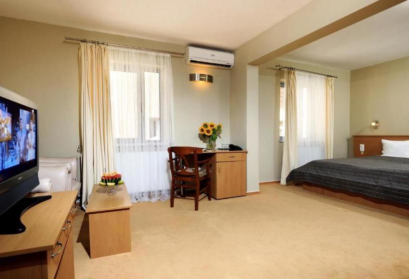 酒店 Pensiunea Hugo