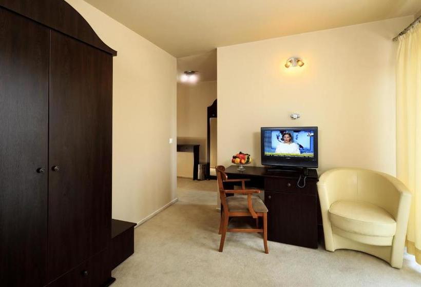 酒店 Pensiunea Hugo