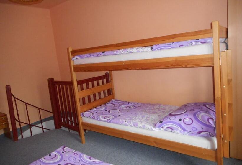 酒店 Penzion U Lesa