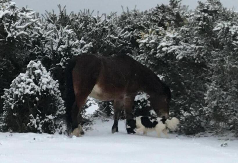 فندق Redlynch Lodge