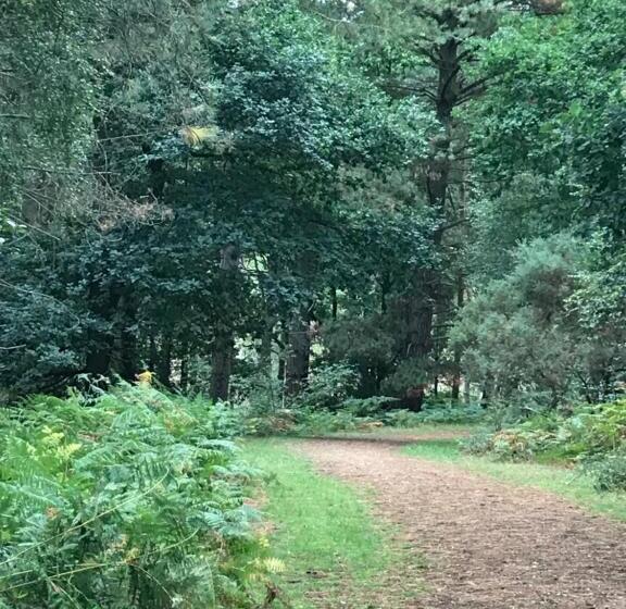 فندق Redlynch Lodge