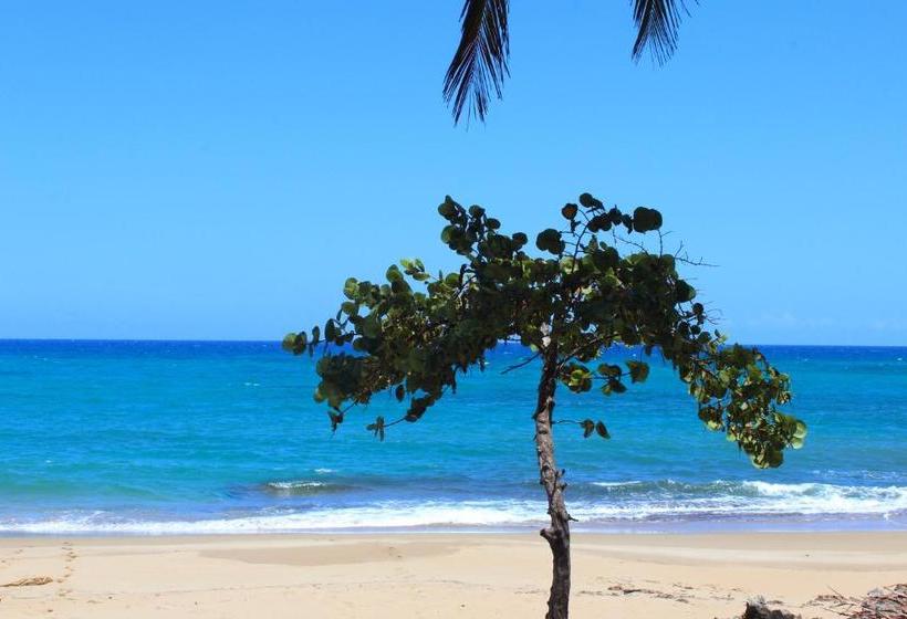 هتل Sea Horse Ranch