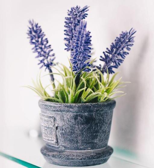 Hotel The Old Store Guest House