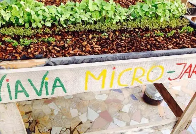 هتل Viavia Senegal Dakar   Hostel