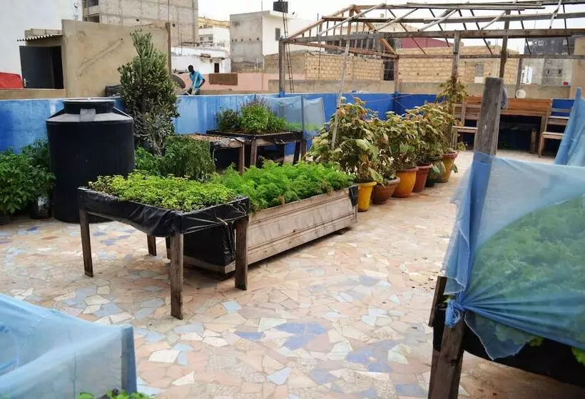 هتل Viavia Senegal Dakar   Hostel