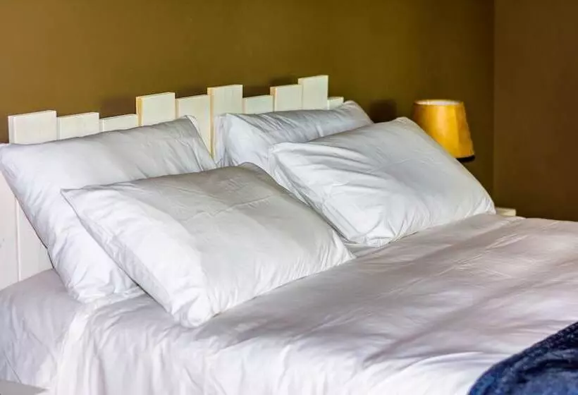 Hotelli 86 On Langenhoven B&b