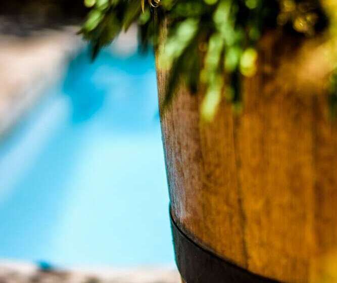 בית מלון כפרי 86 On Langenhoven B&b