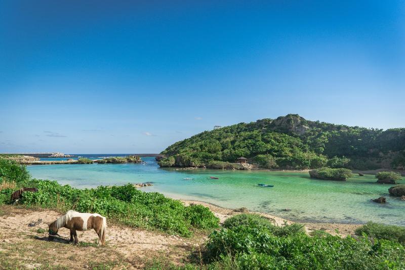 酒店 Allamanda Imgya Coral Village