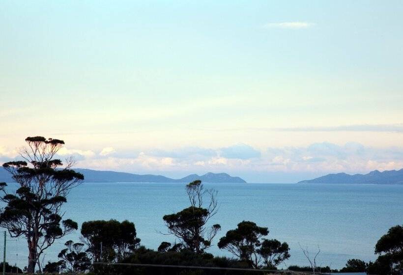 فندق Dragonfly Lodge