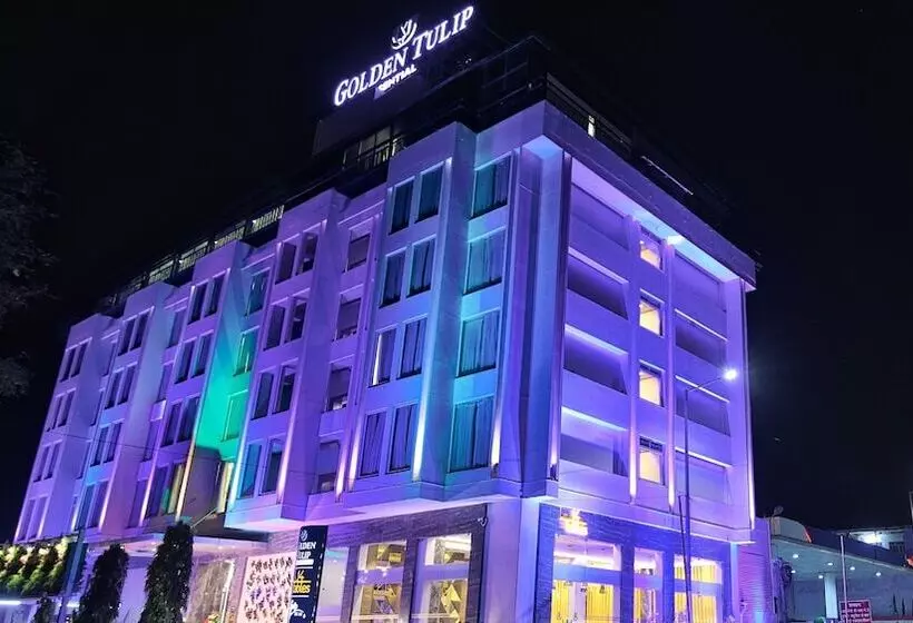 ホテル Golden Tulip Essential Jaipur