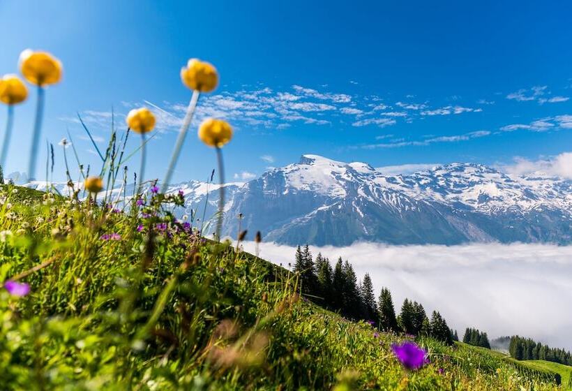 Hotel Grand Your Home With Common Kitchens With Self Check In